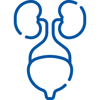 https://meradoc-production.s3.ap-south-1.amazonaws.com/appImages/webImages/specialist-icons/Nephrology.png