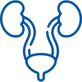 https://meradoc-production.s3.ap-south-1.amazonaws.com/appImages/webImages/specialist-icons/Urology.png